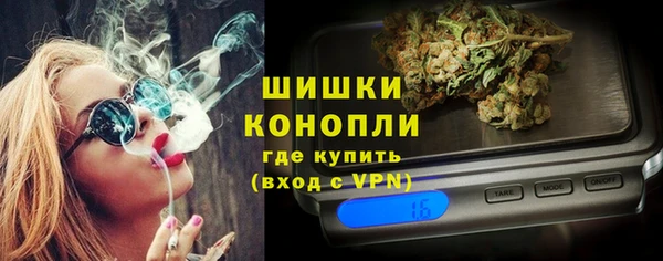 сатива Баксан