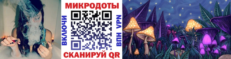 наркота  мориарти как зайти  Галлюциногенные грибы Magic Shrooms  Лермонтов 